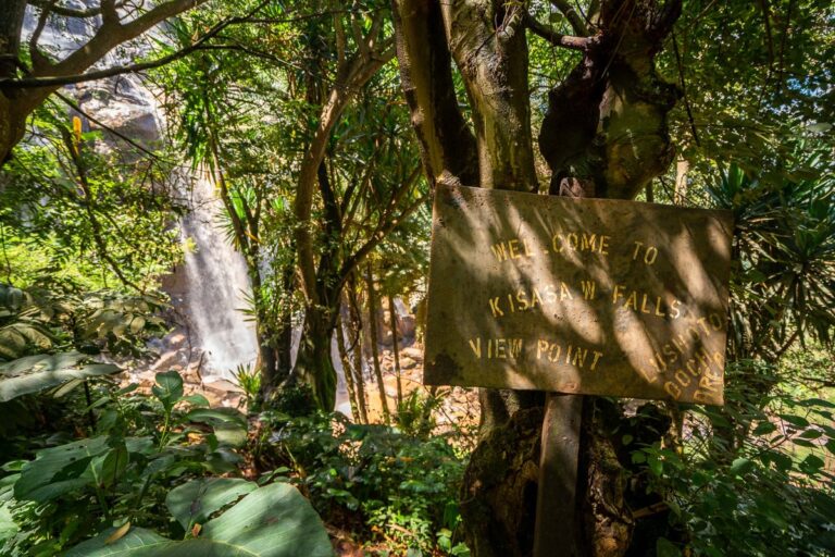 kisasa-waterfall-lushoto-09489